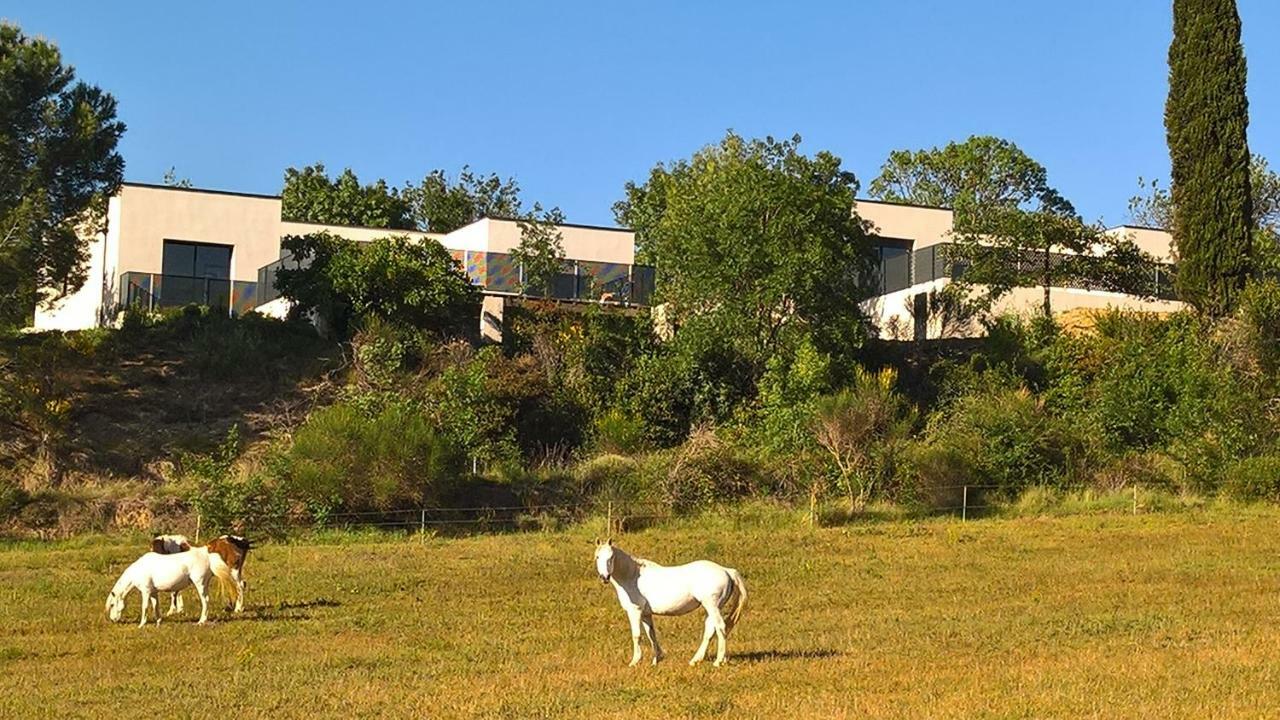 Villa Piscine Sud France Verzeille Екстериор снимка